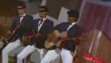 Gumnaam - Jaan Pehechan Ho