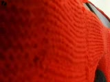 el emeği göz nuru ferrari