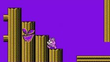 Tiny Toon Adventures - Nes