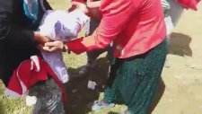 Yörük Geleneği: Çelikleme Kutlaması