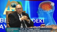 Bağışıklık Sistemini Güçlendirme Yöntemleri