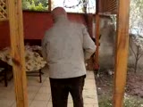 İliç Kuruçay ,bastana ,islamköy, Kuzkışla
