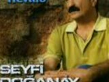 Seyfi Doğanay Aralarda