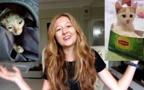 Kurtarma Operasyonu: Yavru kedi Sütlaç! | VLOG
