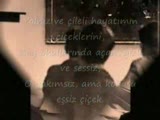 Dünyanın Bütün Çiçekleri
