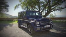2016 Model Mercedes G63 AMG Edition 463