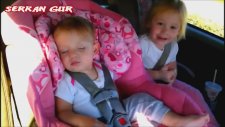 Adana Merkez Patlıyo Herkes || Bebek Edition