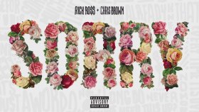 Rick Ross - Sorry Ft. Chris Brown Rick Ross - Sorry Ft. Chris Brown