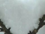 Kardan Adam__harika Şiir Arzuhalci’den