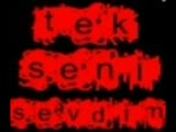 Seni Cok Seviyorum