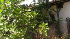 Bağlı Evi, Köyü Sevi, Sıhhat Eyi, Keyif Devi