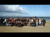 Emu İeee 2008-2009