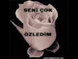 murat ince sevdim seni ne çare