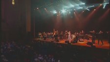 Pink Martini Let's Never Stop Falling In Love