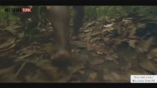 Kabilelerin İzinde (Nat Geo Wild Türkçe Belgesel)