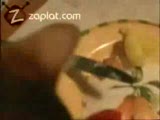 İnatçı kedi
