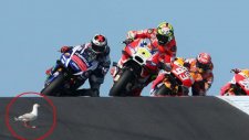 MotoGP'de İlginç Martı Kazası