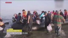 TRT Ekibi Mülteci Botuna Bindi Yunanistan'a Kaçak Gitti