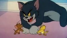 Tom Ve Jerry - Çılgın Ördek Yavrusu
