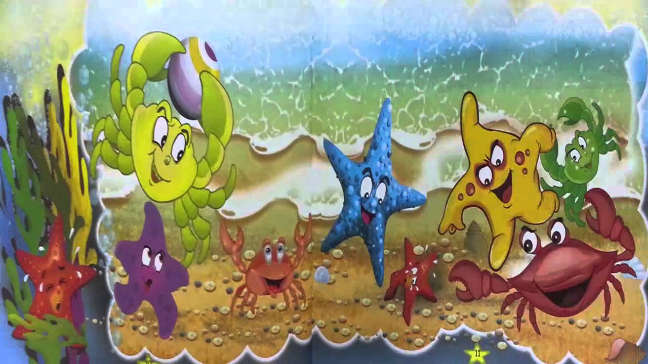Deniz Yıldızı Hikayesi Deniz Yıldızı Hikayesi