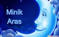 Minik Aras Ninnisi