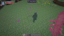 Minecraft SEX MOD 2
