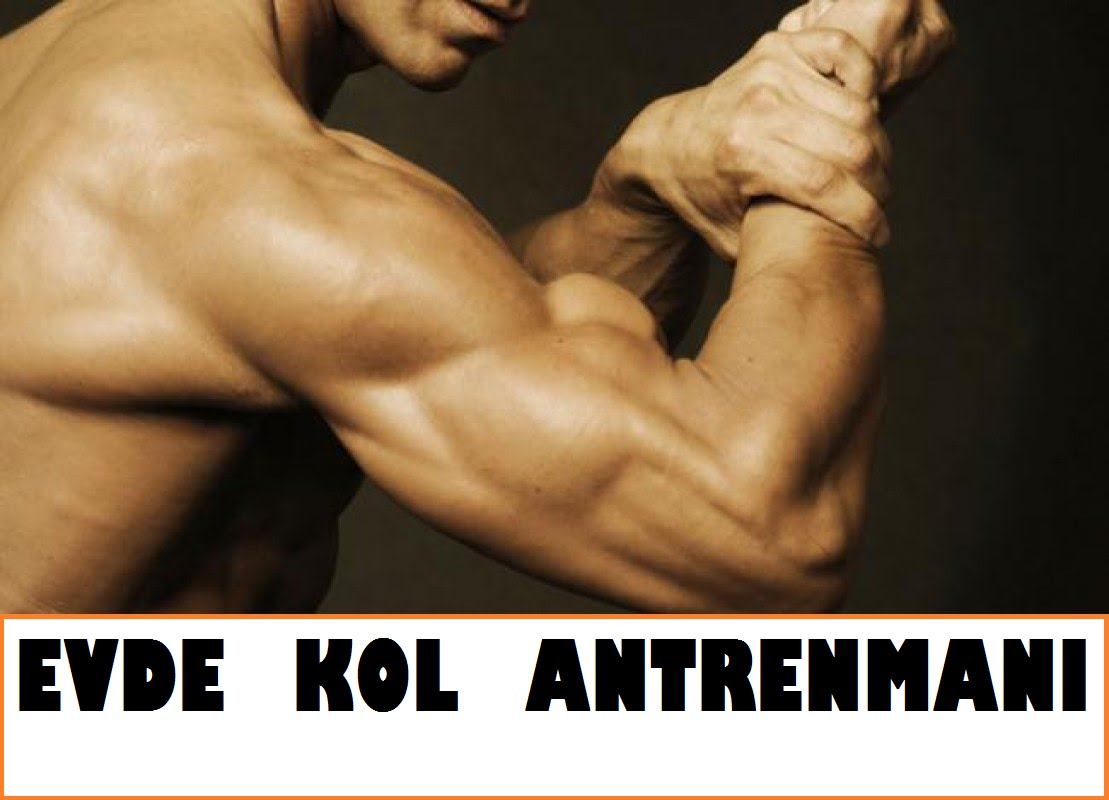 Kol Kasları Kol Kasları