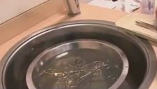Kopan Penis Nasıl Dikilir
