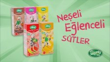 Sütaş Karpuz Kavunlu Süt