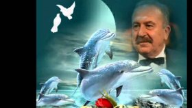 Kahraman Özlü - Uçsun Ada'dan Gönlüme Sînendeki Çamlar Kahraman Özlü - Uçsun Ada'dan Gönlüme Sînendeki Çamlar