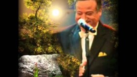 Orhan Saygıcı - Ruhum Şu Gelen Yılda Bile Maziyi Andı Orhan Saygıcı - Ruhum Şu Gelen Yılda Bile Maziyi Andı