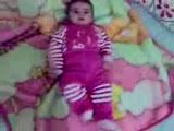 Bebek Show