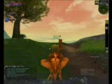 Silkroad Online Hunter