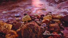 Beautiful Piano Music with Nature Sounds - Relaxing Instrumental Song (
