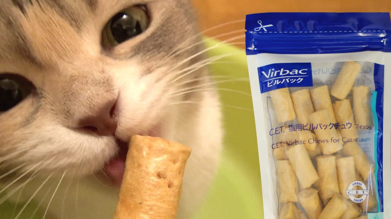 That Makes Cat Happy Dental Care. Virbac C.E.T. Chews Cat Fish
