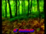 dj boztepe senle acamam (2009)