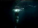 new moon - trailer
