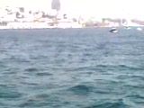 Gfb