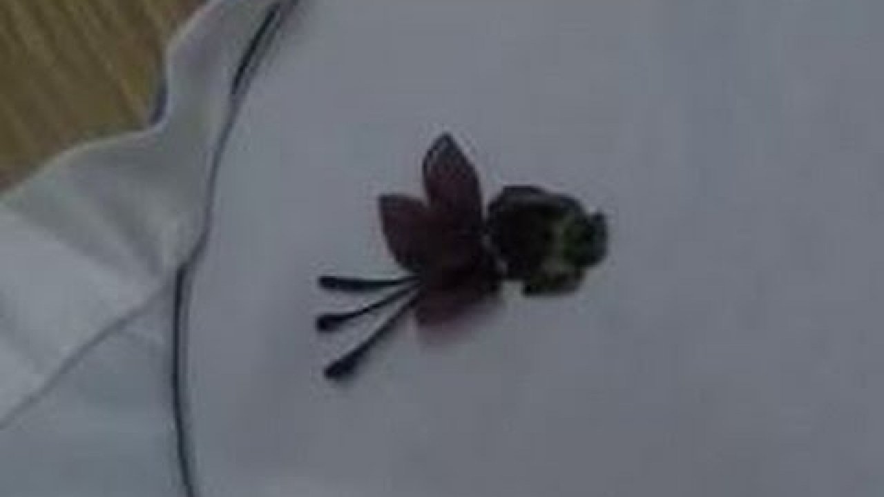 Kurdela Nakış Küpe Çiçeği Yapılışı Kurdela Nakış Küpe Çiçeği Yapılışı