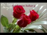 Helin Hasretimsin