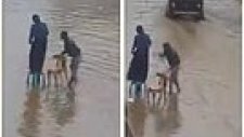 Eşi Islanmasın Diye Sandalyelerle Yol Yapan Centilmen Erkek