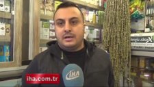 Ihlamurun Fiyatı Çeyrek Altını Geçti