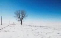 Damar Şarkılar Damar Türküler