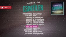 Esintiler- Havvam (Gönül Usta feat. İsmail Türüt)