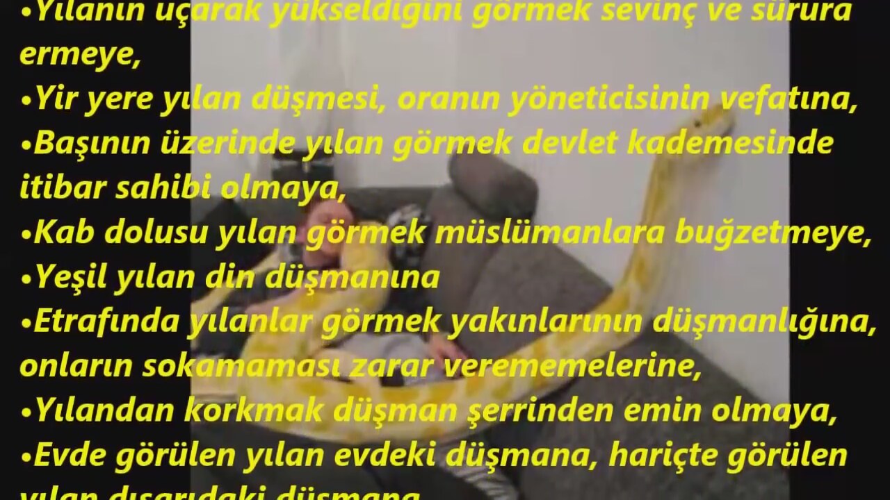 Rüyada küçük yeşil renkli yılan görmek ne demek Rüyada küçük yeşil renkli yılan görmek ne demek