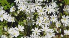 Mehmet Emin Ay - Şol cennetin ırmakları - http://www.ezgici.com