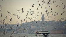 Penceremin Perdesini Havalandıran Rüzgar