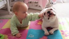 Bebeğe Emeklemeyi Öğreten Bulldog