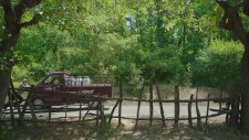 Düğün Dernek 2 Sünnet - Fragman