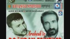 Seyfi Doğanay - Viran Ettiler